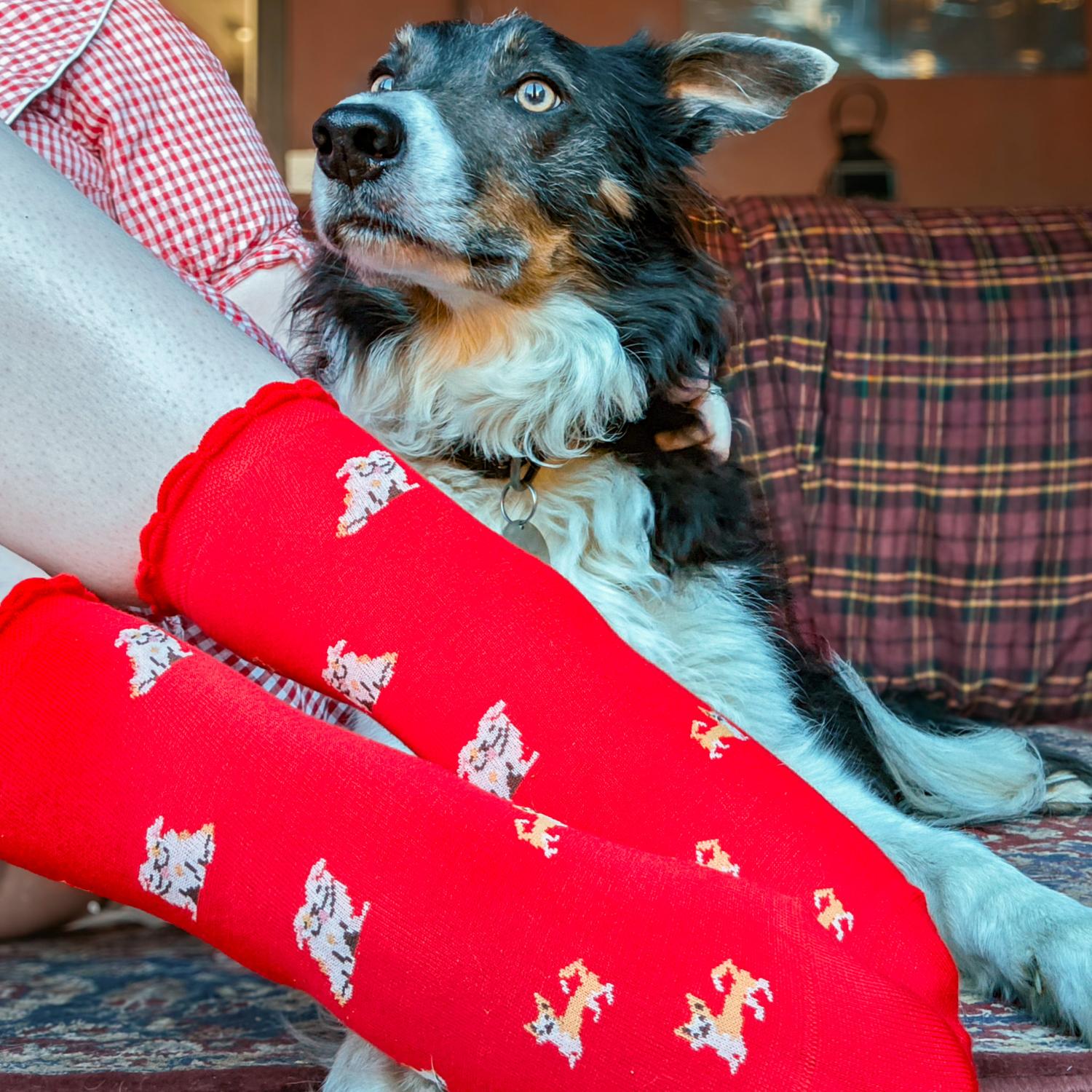 Ultimative Bambus-Knöchelsocken - Woof