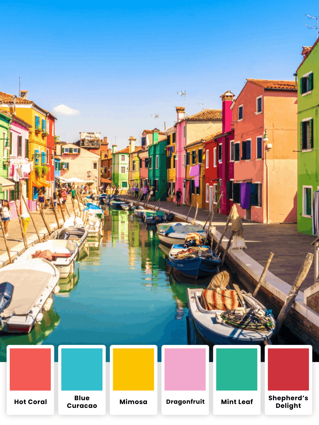 6er-Pack Vivid Shore Bundle – Stay Cool Chub Rub Shorts